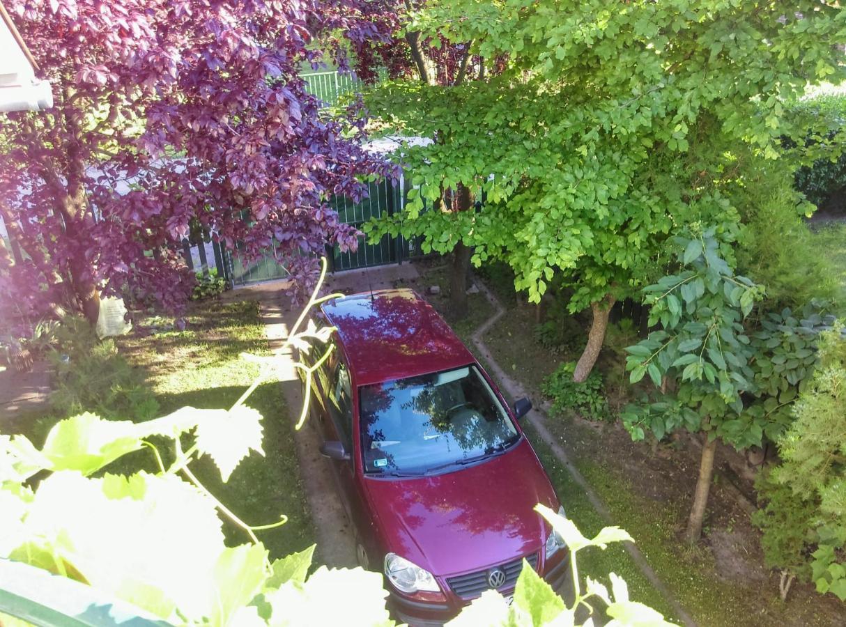 Fesztival Nyaralohaz Apartament Zamárdi
