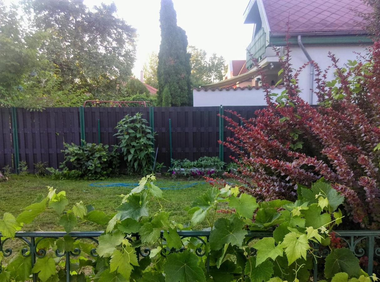 Apartment Fesztival Nyaralohaz