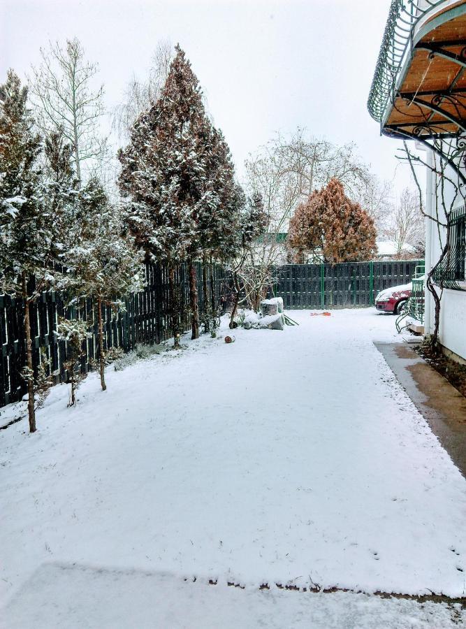 Apartament Fesztival Nyaralohaz *