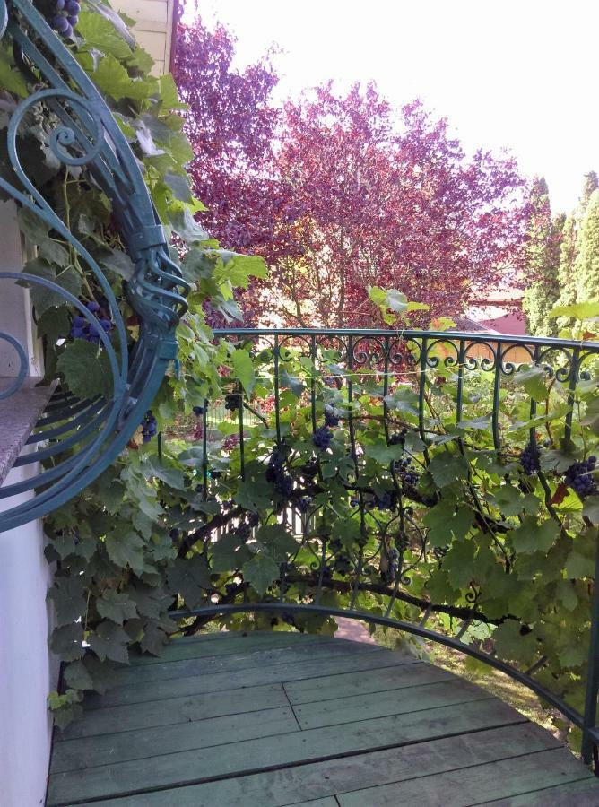 Fesztival Nyaralohaz Apartment Zamardi